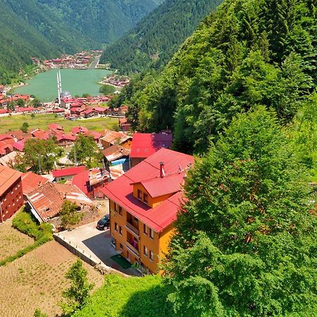 Auga Apart Uzungöl Dış mekan fotoğraf