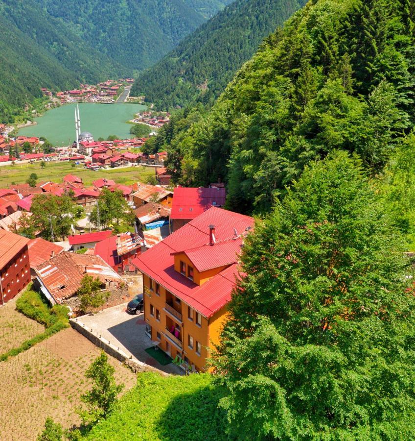 Auga Apart Uzungöl Dış mekan fotoğraf