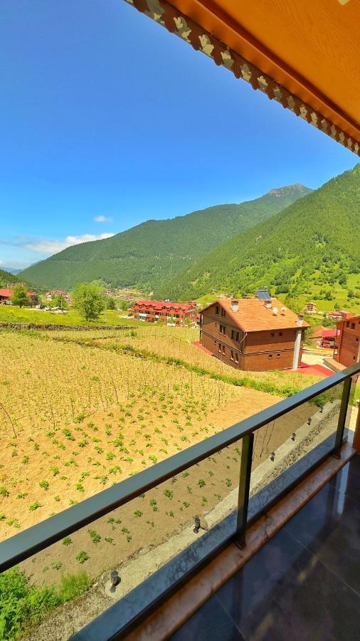 Auga Apart Uzungöl Dış mekan fotoğraf