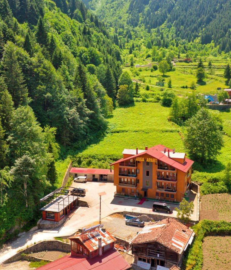 Auga Apart Uzungöl Dış mekan fotoğraf