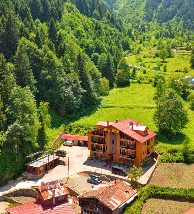 Auga Apart Uzungöl Dış mekan fotoğraf