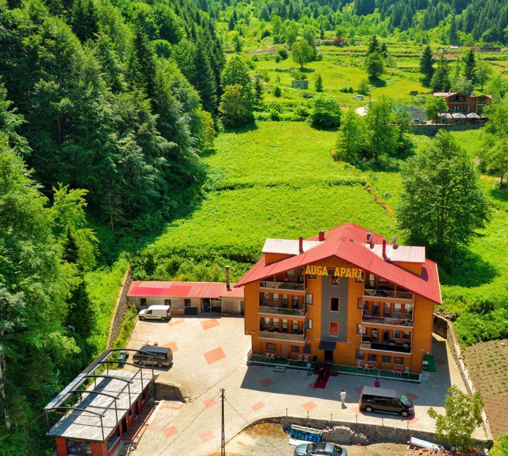 Auga Apart Uzungöl Dış mekan fotoğraf